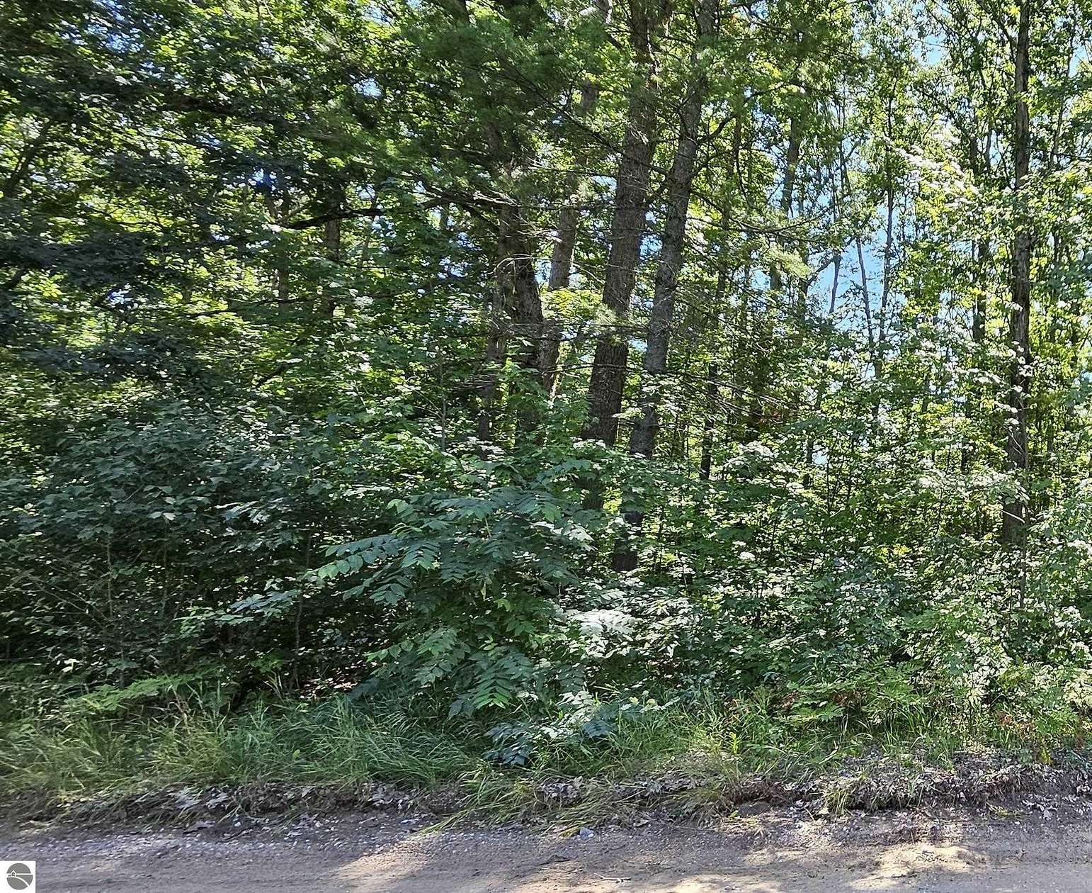 0.23 Acres of Residential Land for Sale in Fife Lake, Michigan