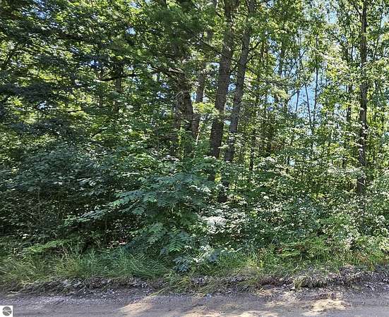 0.23 Acres of Residential Land for Sale in Fife Lake, Michigan