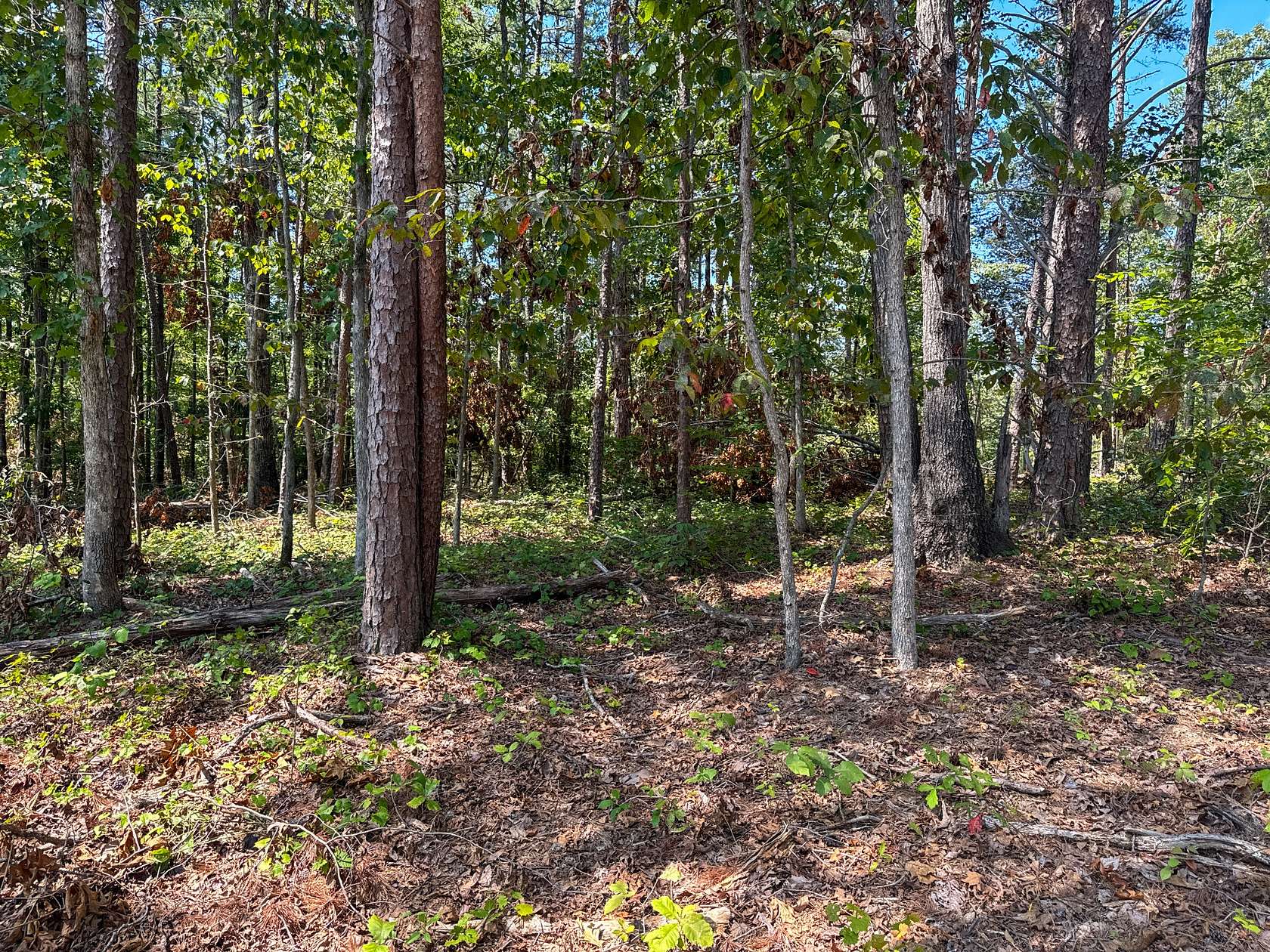 11.7 Acres of Land for Sale in Hohenwald, Tennessee