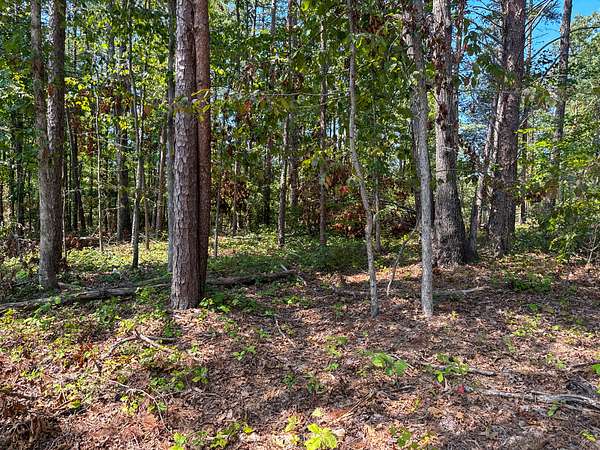 11.7 Acres of Land for Sale in Hohenwald, Tennessee