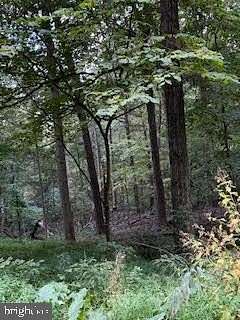 2.34 Acres of Residential Land for Sale in Berkeley Springs, West Virginia