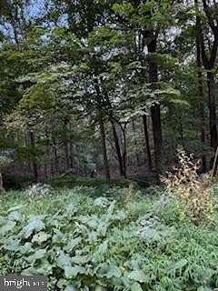 2.34 Acres of Residential Land for Sale in Berkeley Springs, West Virginia