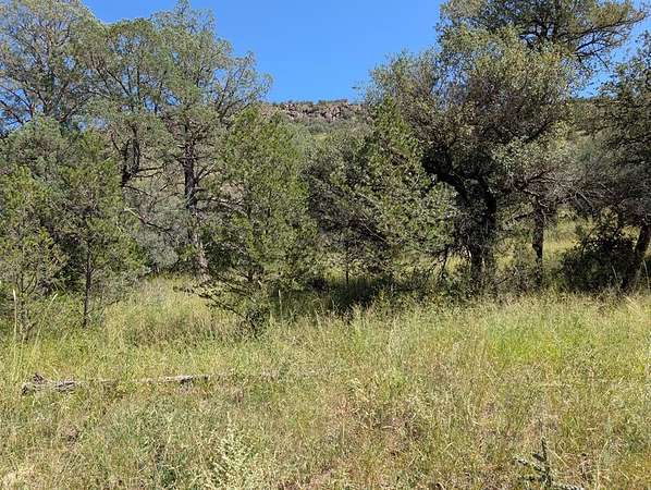 5.19 Acres of Land for Sale in Fort Davis, Texas
