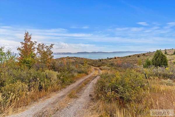 14 Acres of Land for Sale in Fish Haven, Idaho