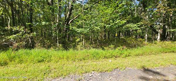 1 Acre of Land for Sale in Jim Thorpe, Pennsylvania