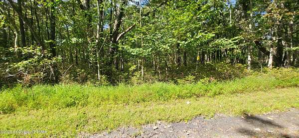 1 Acre of Land for Sale in Jim Thorpe, Pennsylvania