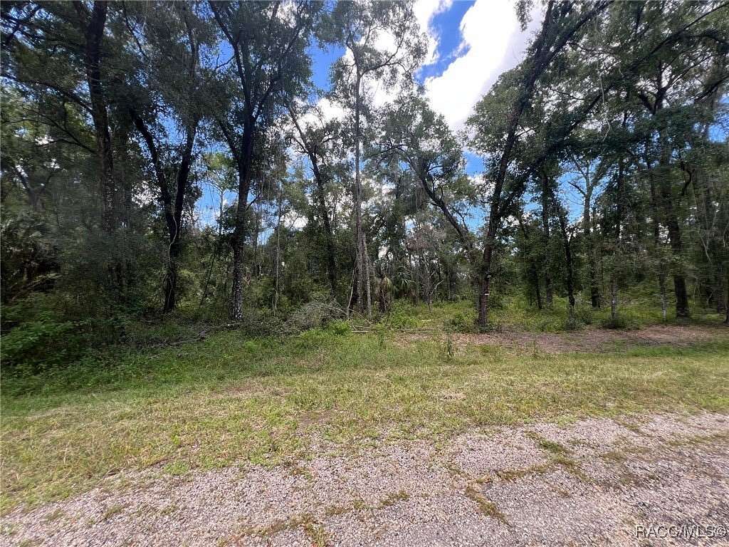 0.35 Acres of Residential Land for Sale in Dunnellon, Florida