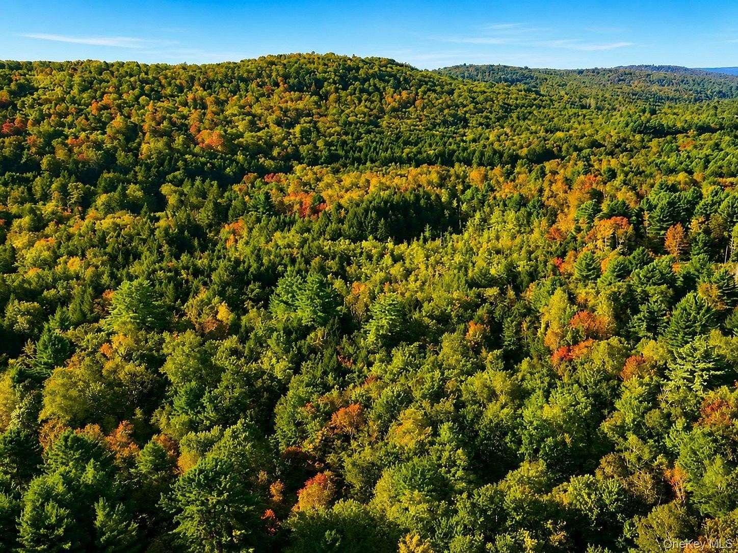 50 Acres of Recreational Land for Sale in Monticello, New York