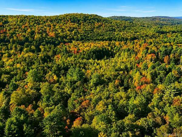 50 Acres of Recreational Land for Sale in Monticello, New York
