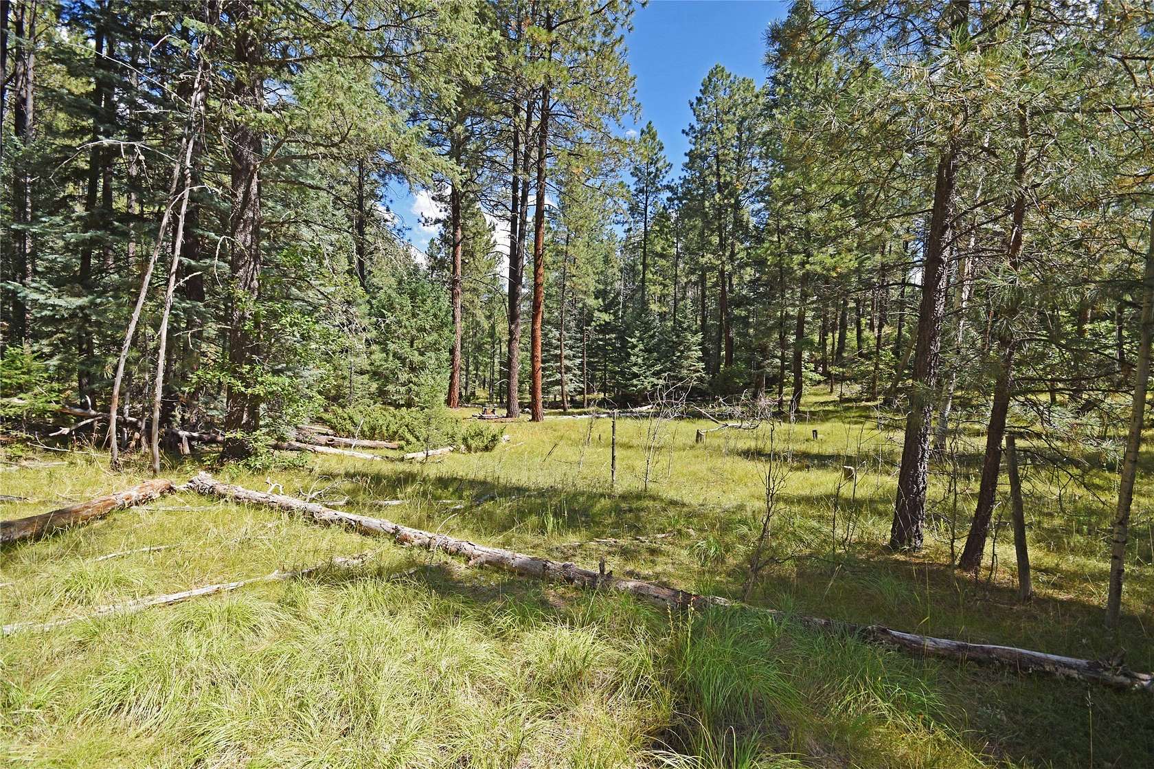 3.67 Acres of Residential Land for Sale in Jemez Springs, New Mexico