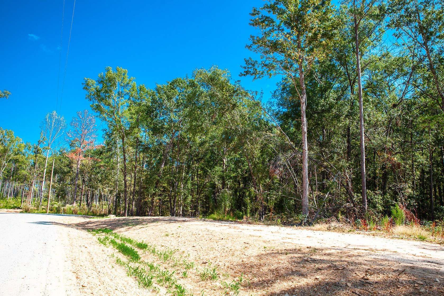 Residential Land for Sale in Appling, Georgia