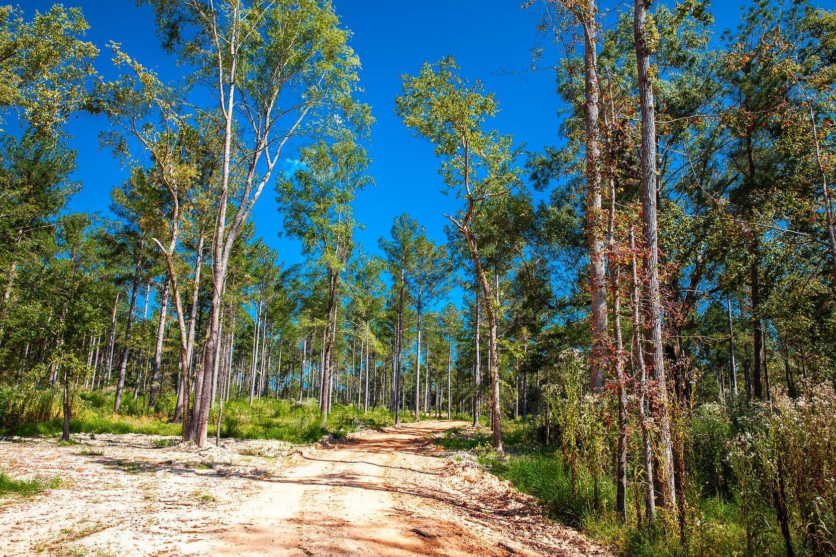 Residential Land for Sale in Appling, Georgia