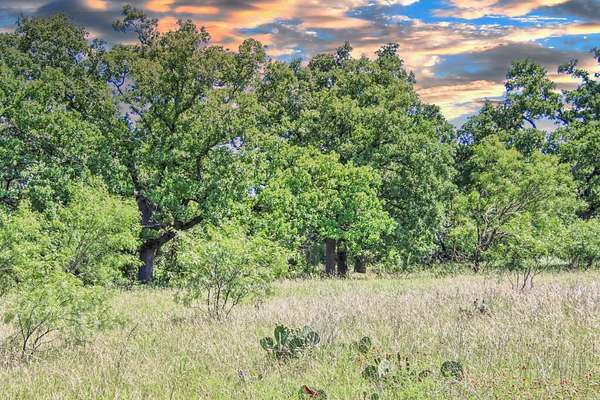 50 Acres of Land for Sale in Willow City, Texas