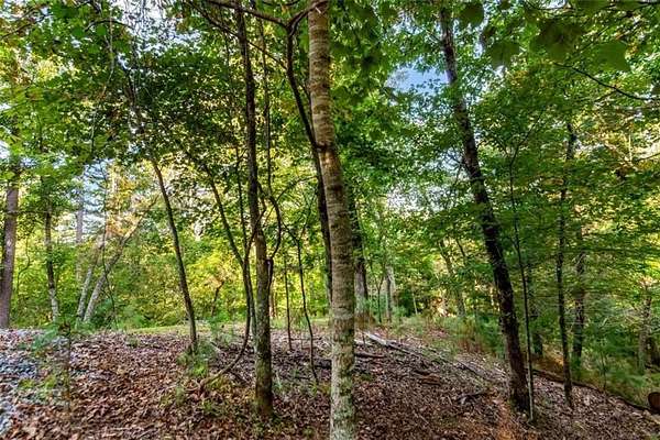 1.58 Acres of Mixed-Use Land for Sale in Ellijay, Georgia