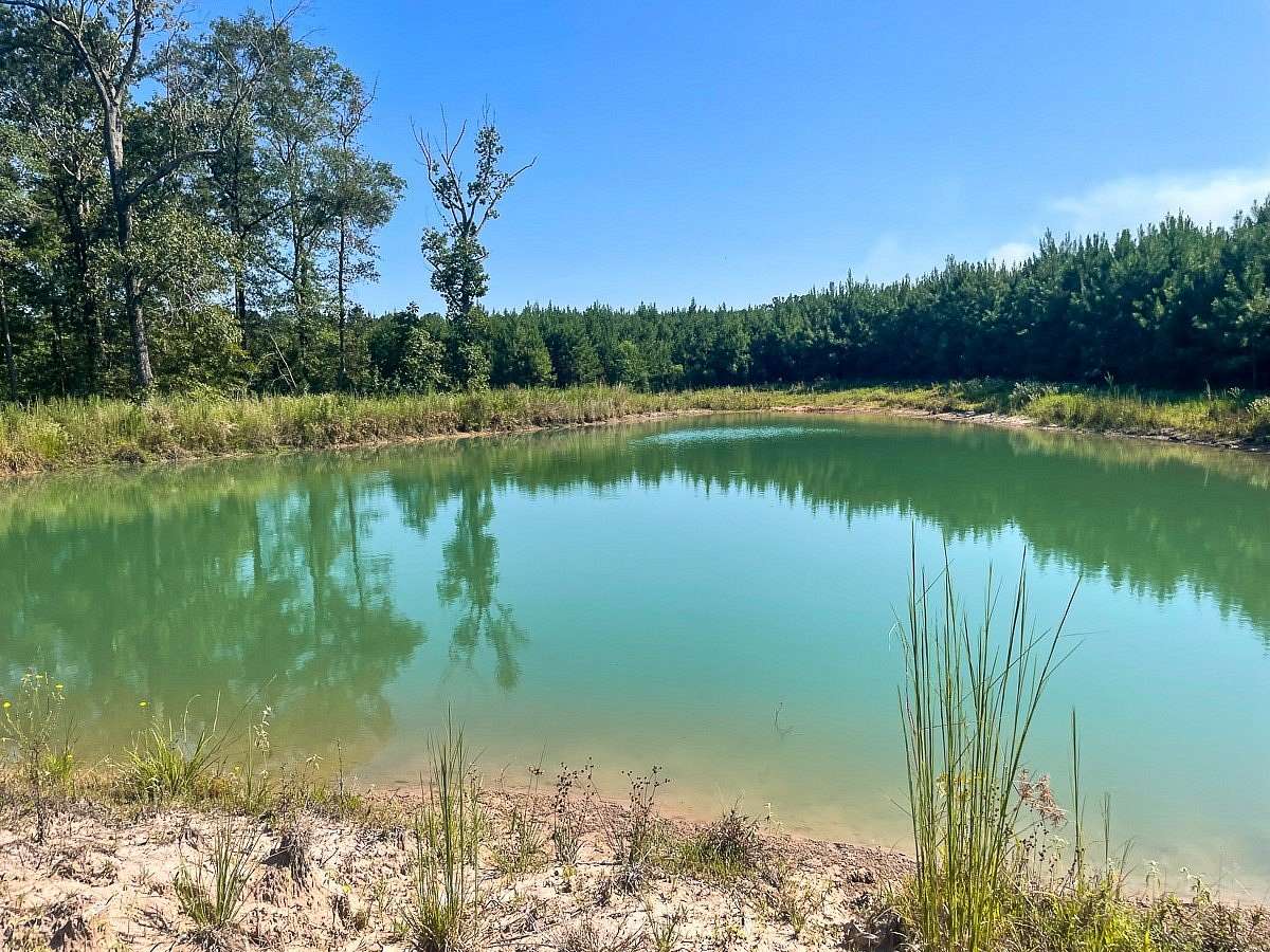 24 Acres of Recreational Land for Sale in Corrigan, Texas