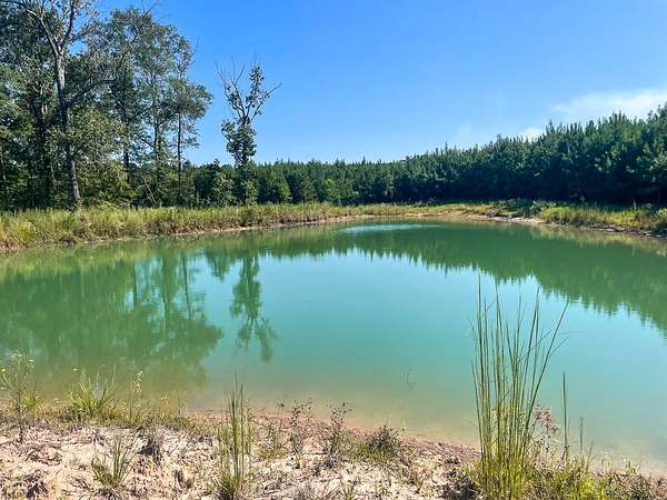 24 Acres of Recreational Land for Sale in Corrigan, Texas