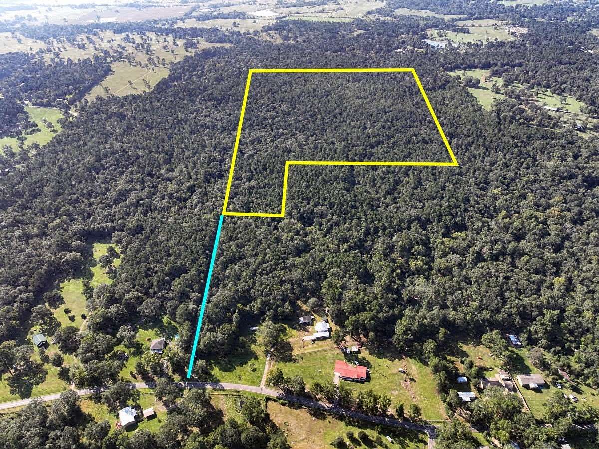 65.6 Acres of Recreational Land for Sale in New Waverly, Texas