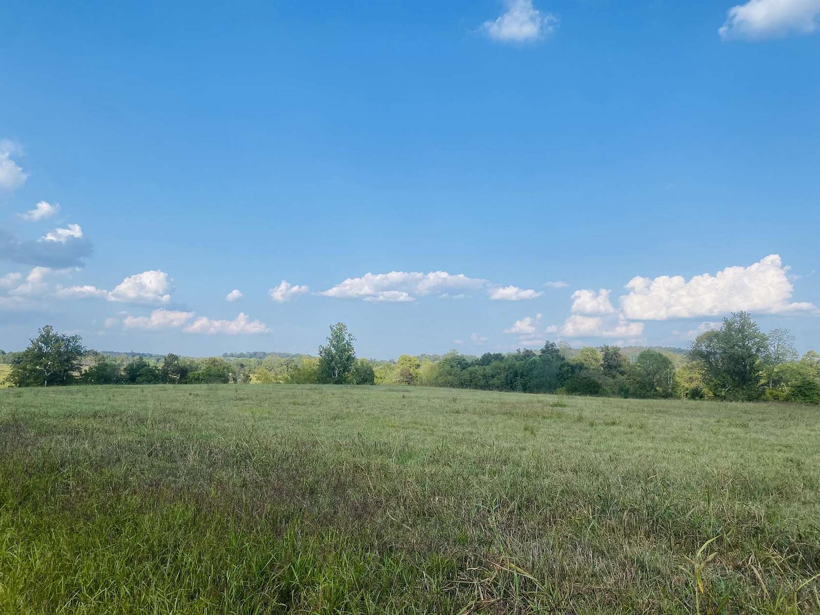 11.9 Acres of Land for Sale in Science Hill, Kentucky