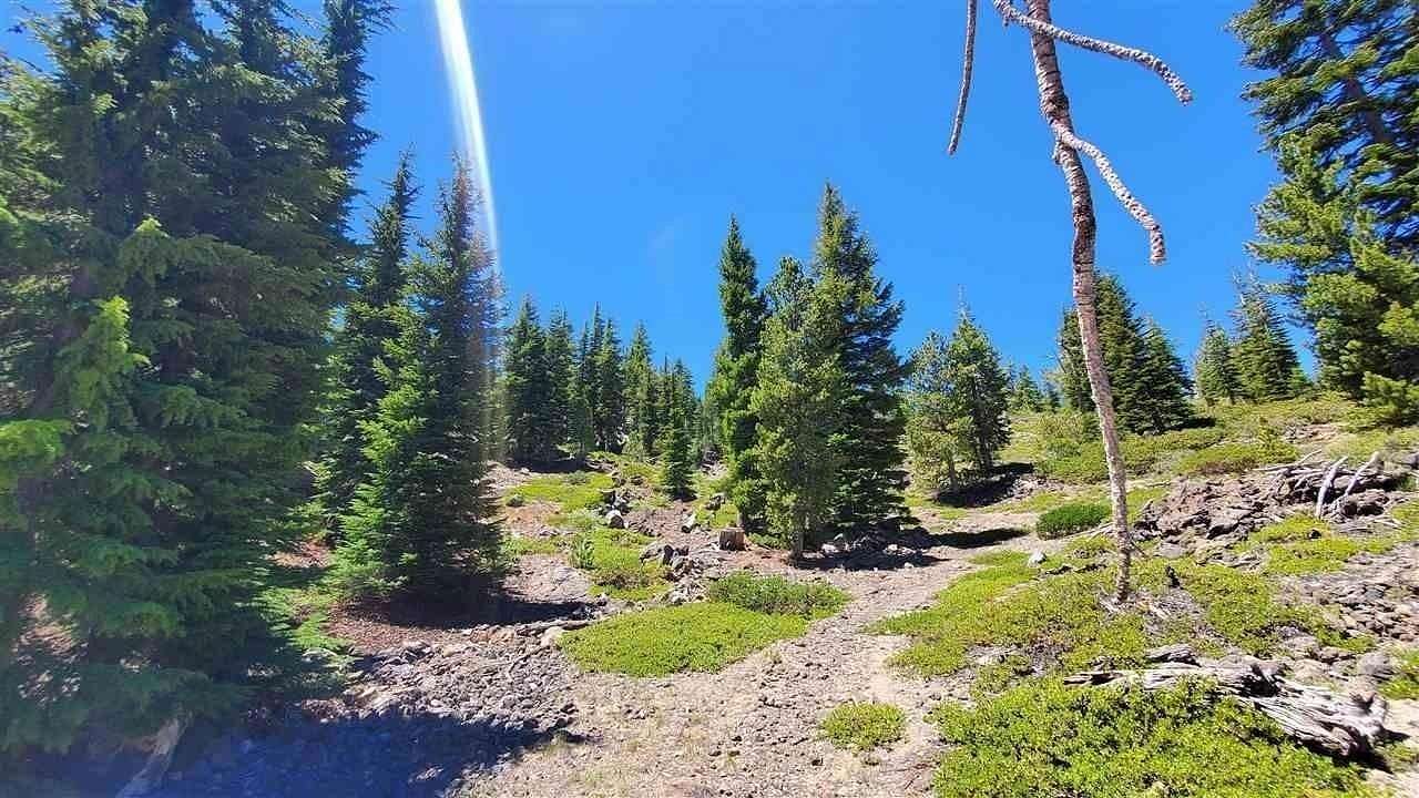 164 Acres of Recreational Land for Sale in Macdoel, California