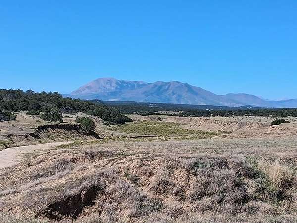 39.3 Acres of Land for Sale in Walsenburg, Colorado