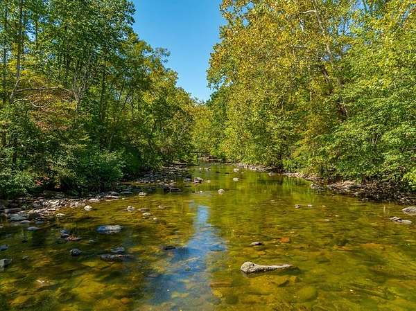 620 Acres of Recreational Land for Sale in Narrows, Virginia