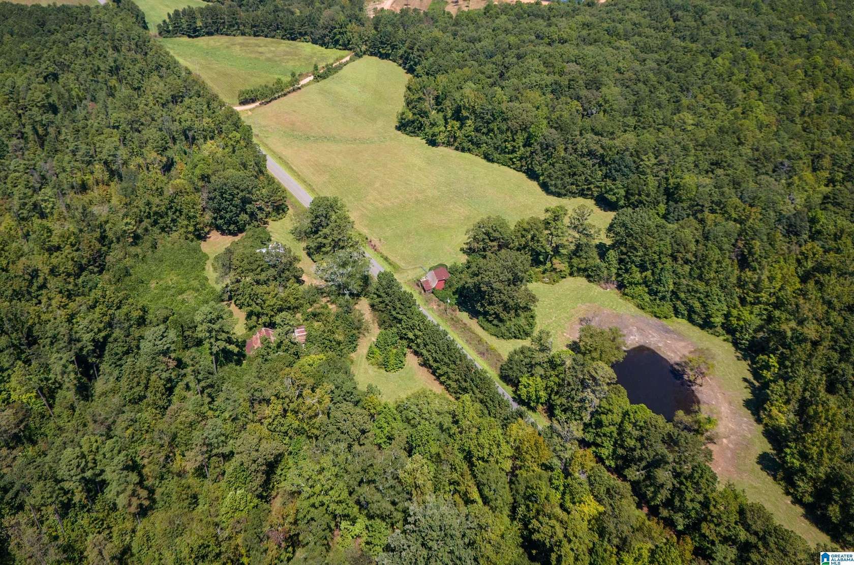 127 Acres of Land for Sale in Roanoke, Alabama