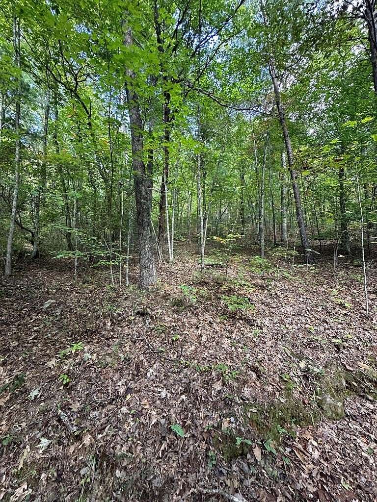 9.82 Acres of Land for Sale in Murphy, North Carolina