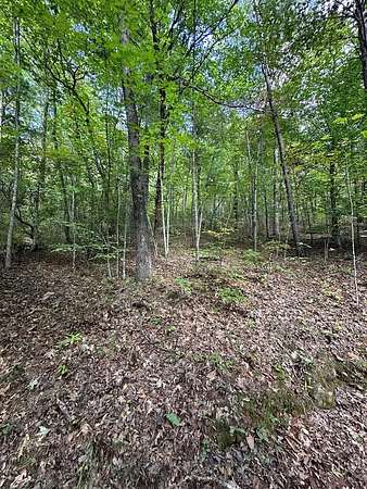 9.82 Acres of Land for Sale in Murphy, North Carolina