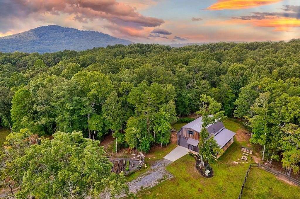 21 Acres of Land for Sale in Mineral Bluff, Georgia