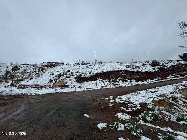 40.4 Acres of Land for Sale in Reno, Nevada