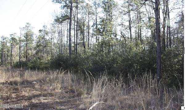 5.5 Acres of Commercial Land for Sale in Southport, North Carolina