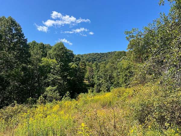 240 Acres of Recreational Land for Sale in Alderson, West Virginia