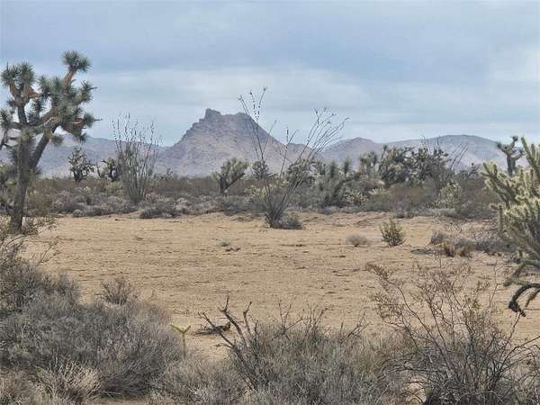 39.3 Acres of Land for Sale in Yucca, Arizona