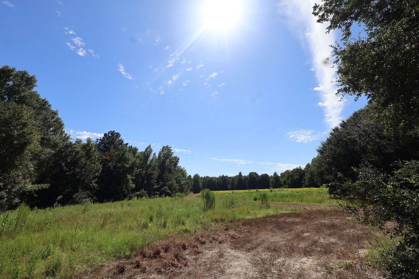41.9 Acres of Recreational Land for Sale in Manning, South Carolina