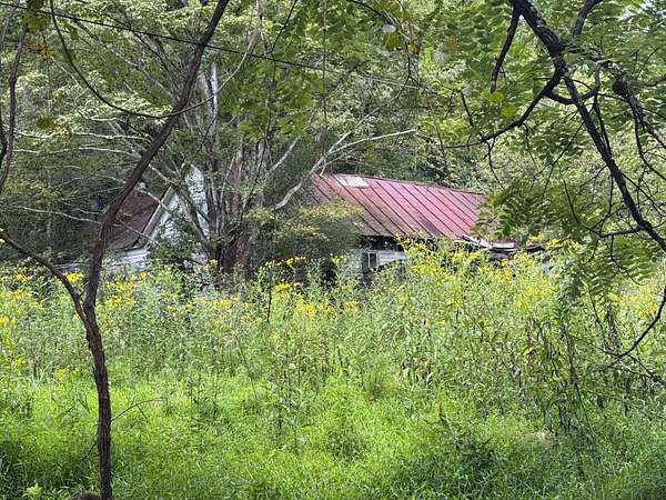 131 Acres of Land for Sale in Alum Bridge, West Virginia