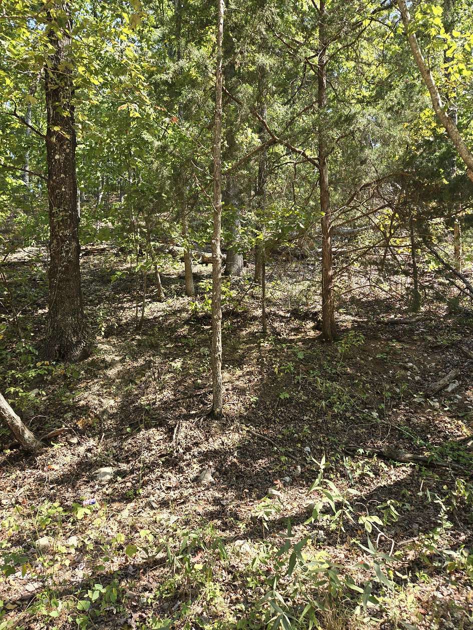 9.14 Acres of Land for Sale in Birch Tree, Missouri