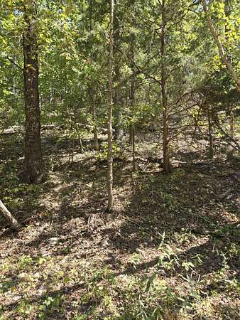 9.14 Acres of Land for Sale in Birch Tree, Missouri