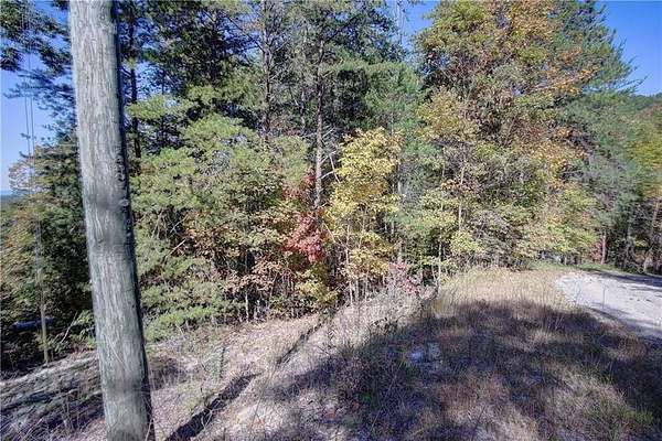 2.18 Acres of Residential Land for Sale in Ranger, Georgia