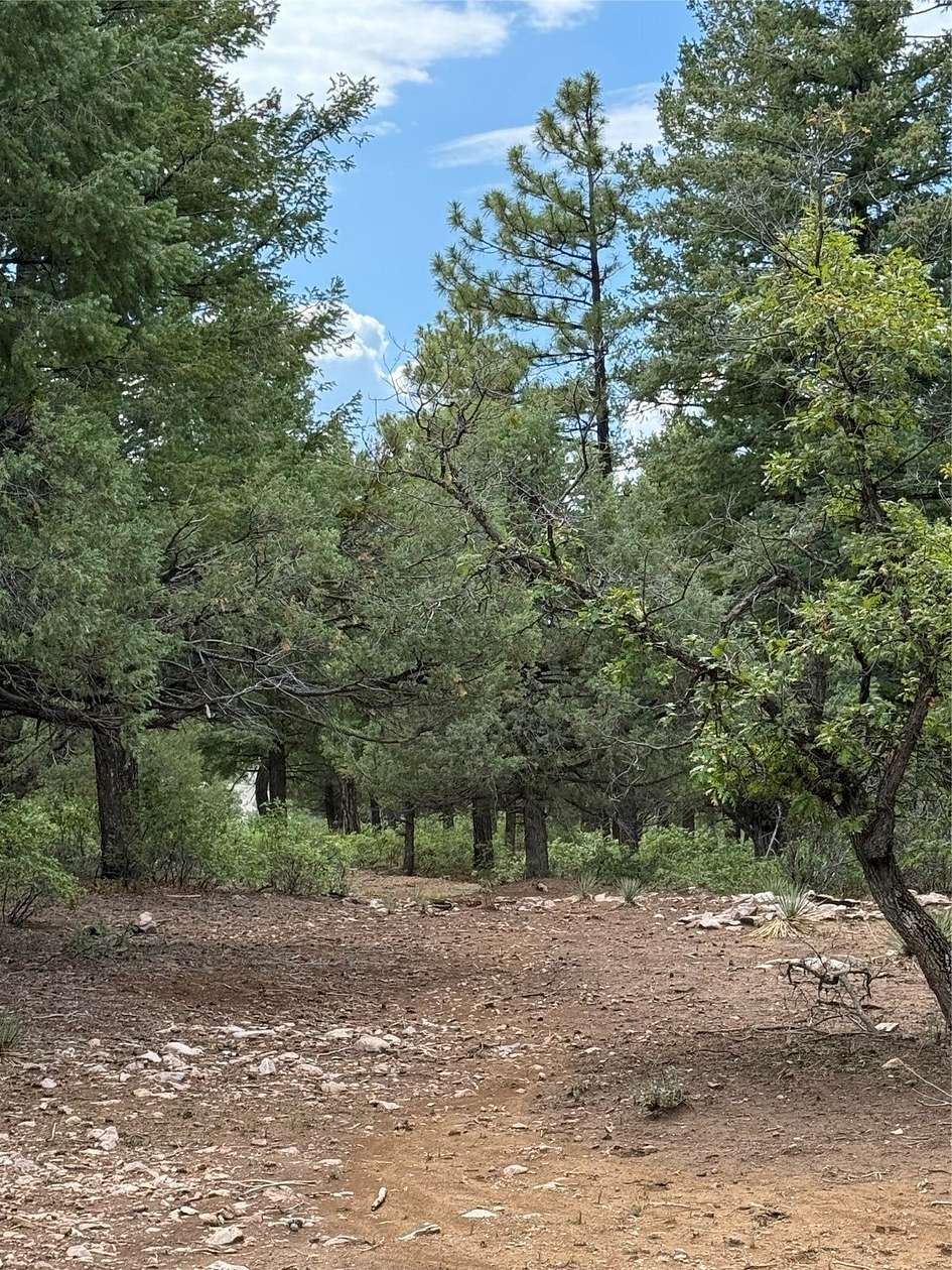 8.24 Acres of Residential Land for Sale in Chama, New Mexico