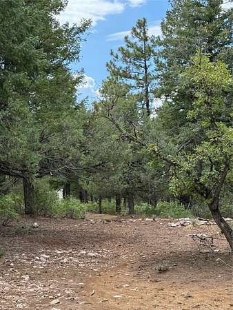 8.24 Acres of Residential Land for Sale in Chama, New Mexico
