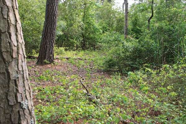 3 Acres of Residential Land for Sale in Chincoteague, Virginia