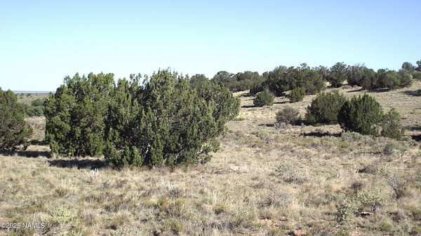 1.2 Acres of Land for Sale in Williams, Arizona