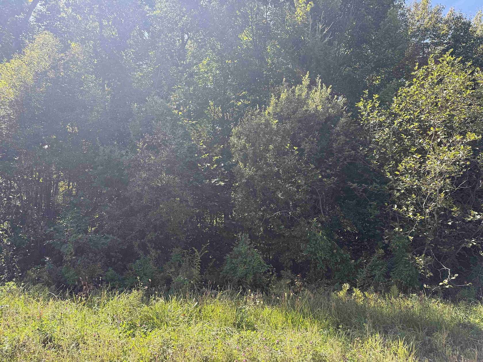 92.9 Acres of Recreational & Residential Land for Sale in Nicholville, New York