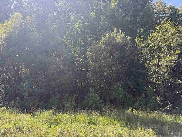 92.9 Acres of Recreational Land for Sale in Nicholville, New York