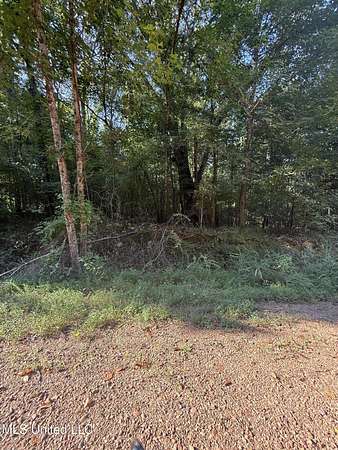 6 Acres of Residential Land for Sale in Coldwater, Mississippi