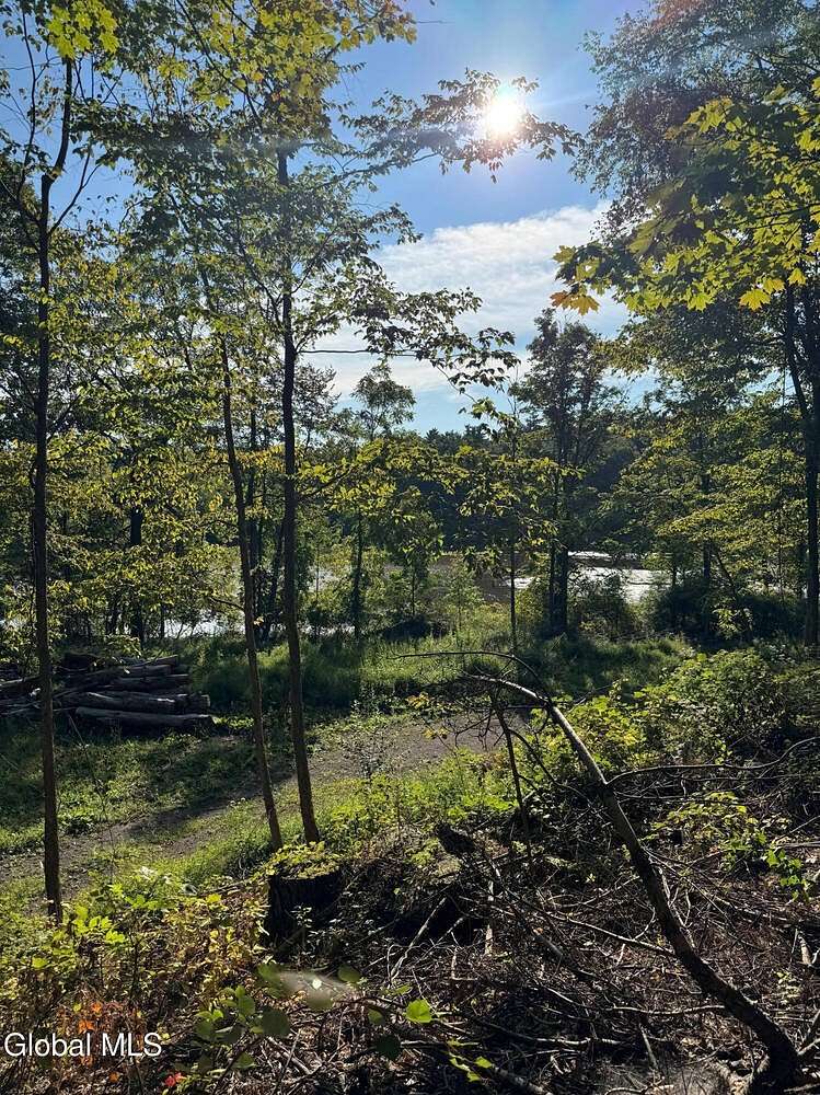 29 Acres of Recreational Land for Sale in New Baltimore, New York