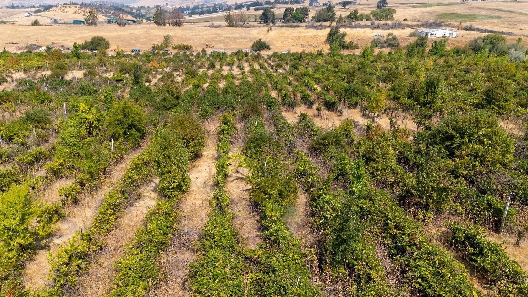 22.3 Acres of Land for Lease in Ashland, Oregon