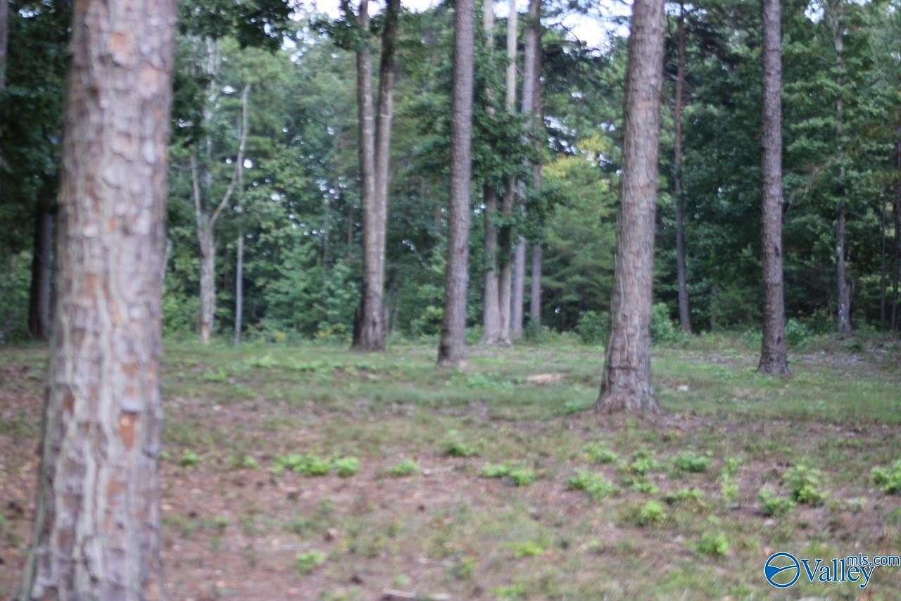 1 Acre of Residential Land for Sale in Mentone, Alabama