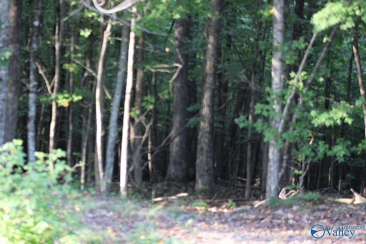 1 Acre of Land for Sale in Mentone, Alabama