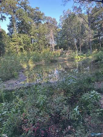 1.9 Acres of Land for Sale in Piedmont, Alabama